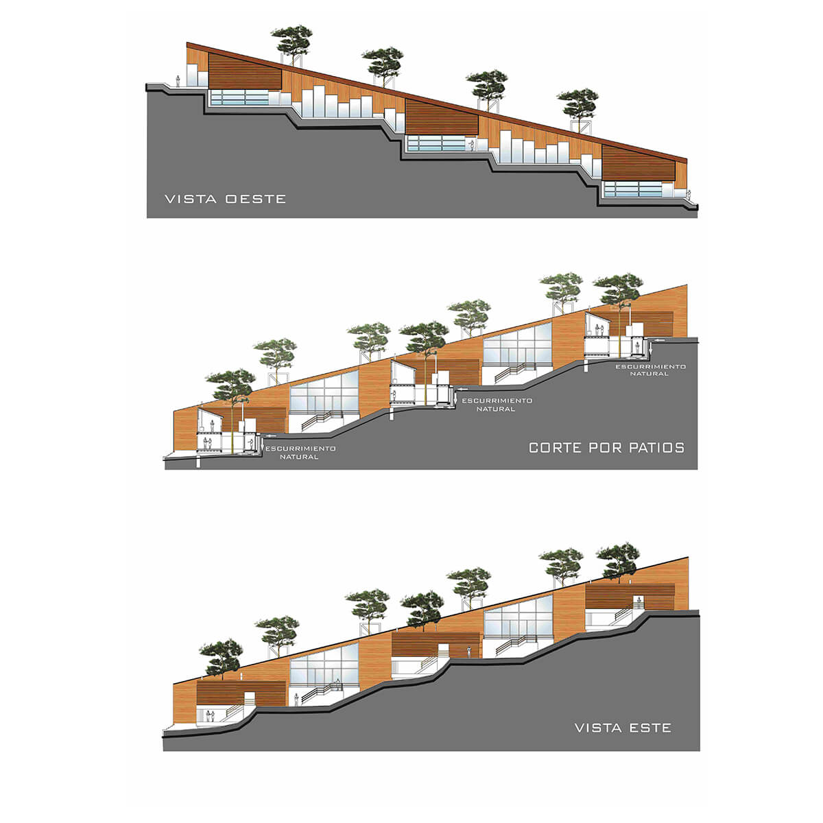 Federico Sánchez Arquitecto
